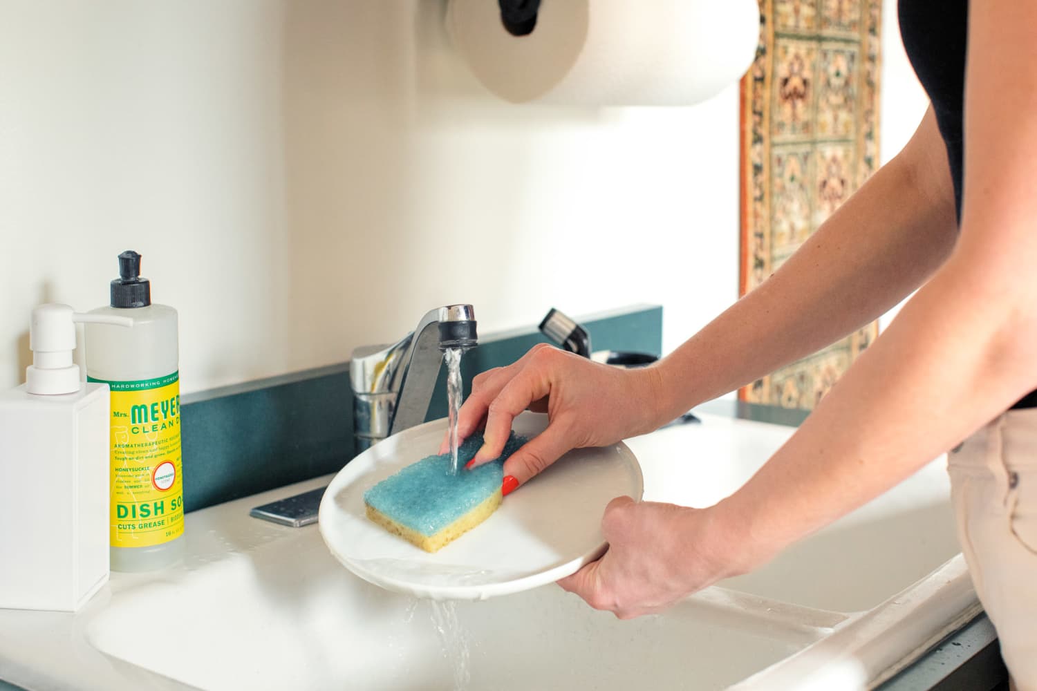 How to hot sale disinfect dish sponge
